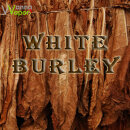 Wanna Vapor White Burley Aroma 10ml