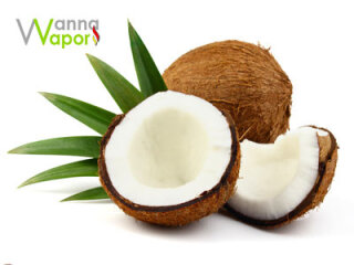 Wanna Vapor Kokosnuss 10ml 0mg