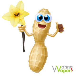Wanna Vapor Peanilla Choc 10ml 9mg