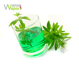 Wanna Vapor Waldmeister 10ml 9mg